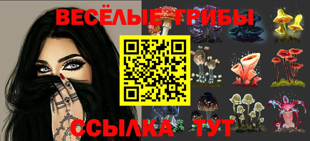Псилоцибиновые грибы прущие грибы  Галлюциногенные грибы MAGIC MUSHROOMS  Вход с VPN  Новосибирск 