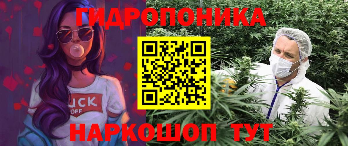 Каннабис White Widow  Вход с VPN  Бошки Шишки сатива  Новосибирск  Каннабис тримм 